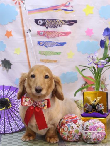 20240510レオンくん